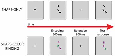 Enhanced Working Memory Binding by Direct Electrical Stimulation of the Parietal Cortex